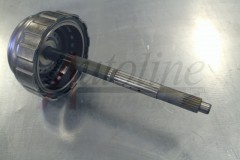 Picture G-IPW-AW55-50-A